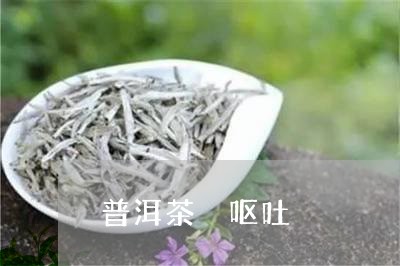 普洱茶 呕吐/2023042879742